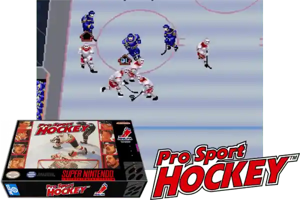 pro sport hockey